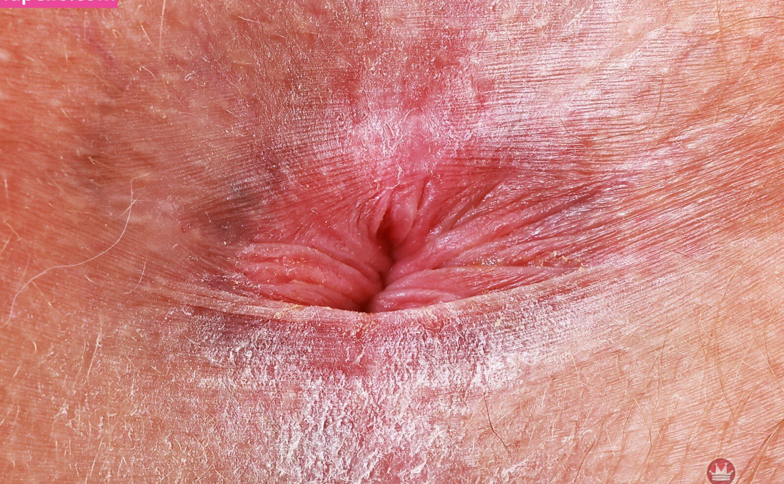 leana-lovings Nacktheit OnlyFans Fotos #614 - Fapshots