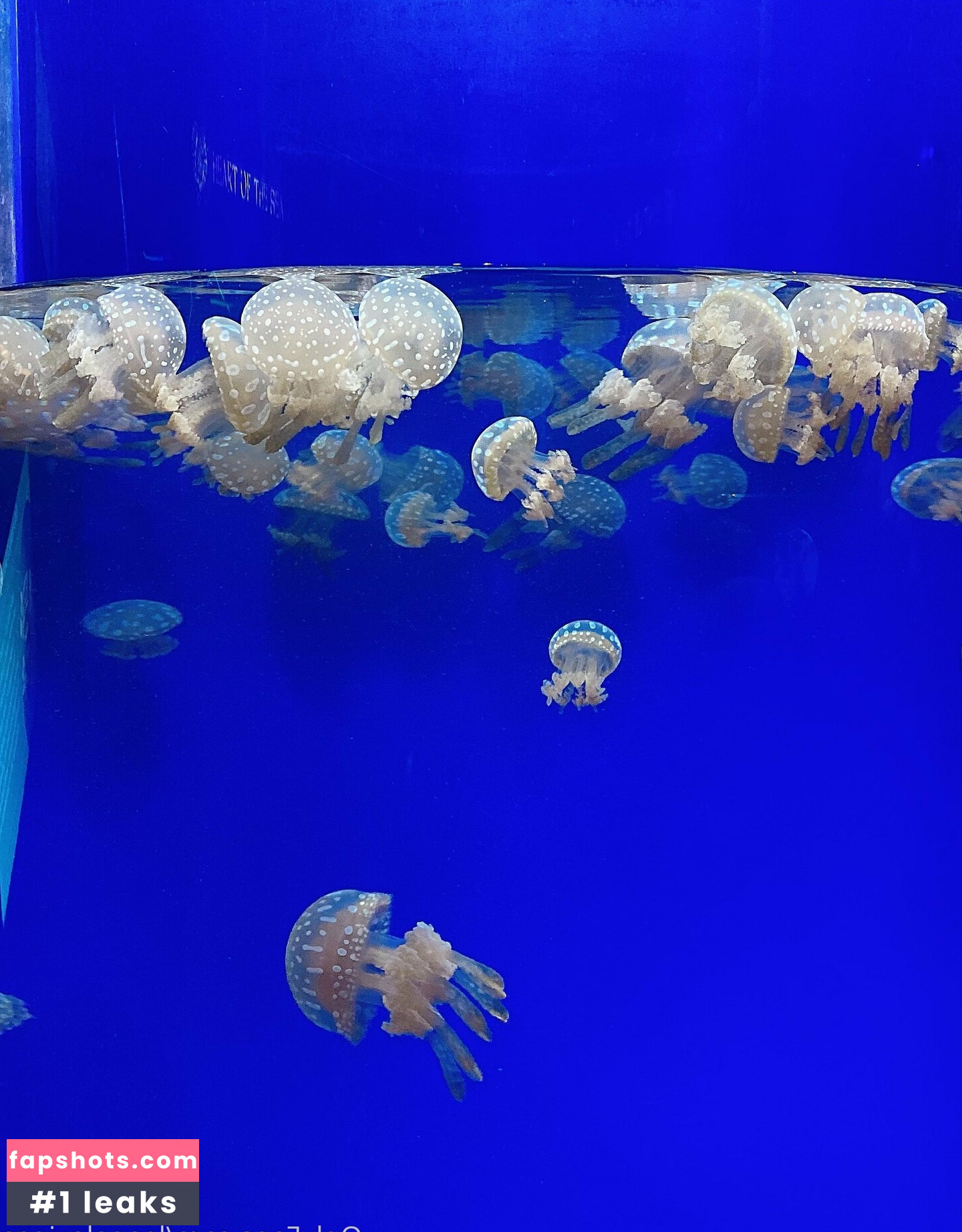 leanalovings nude babe gallery