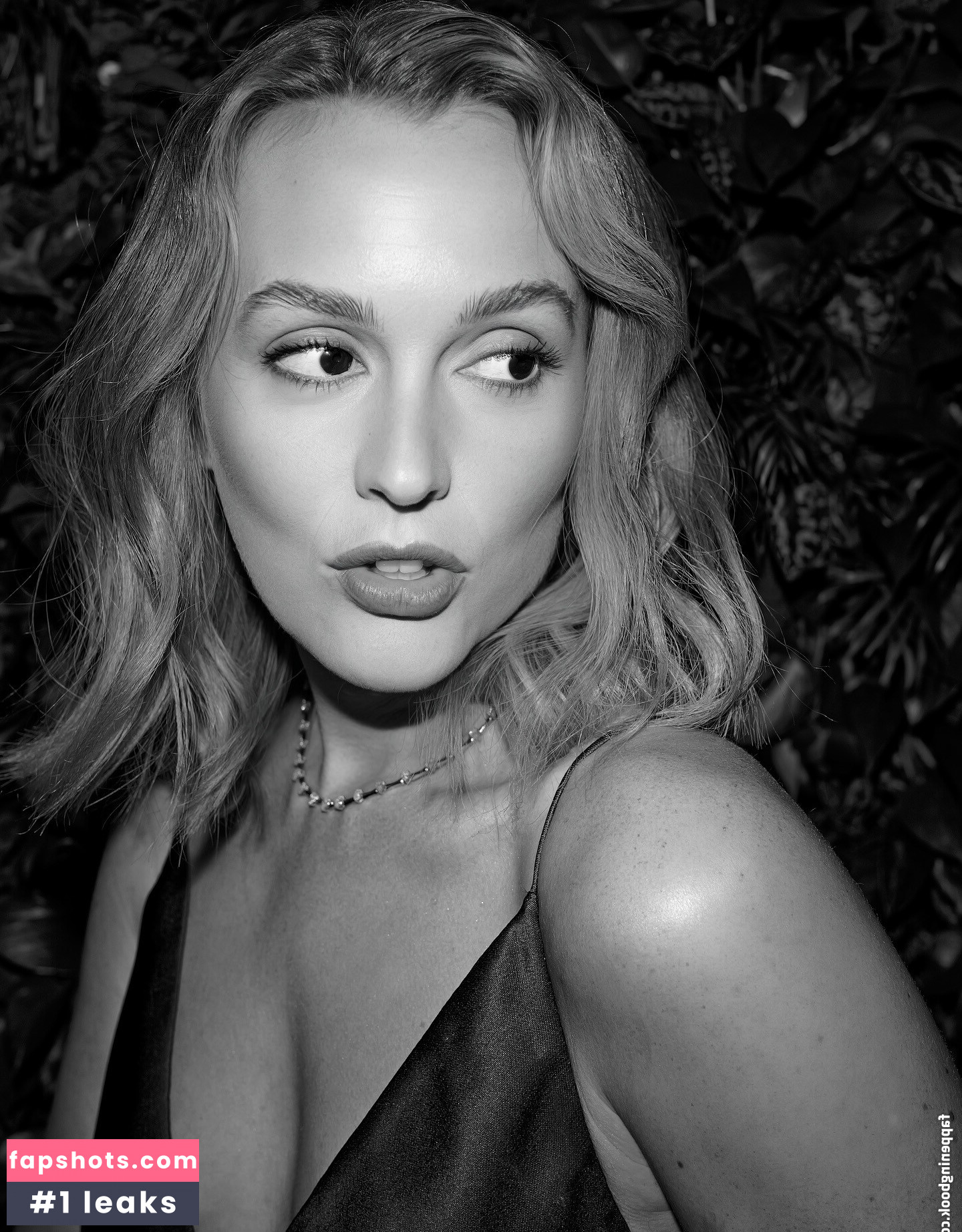 Leighton Meester gallery photo #20