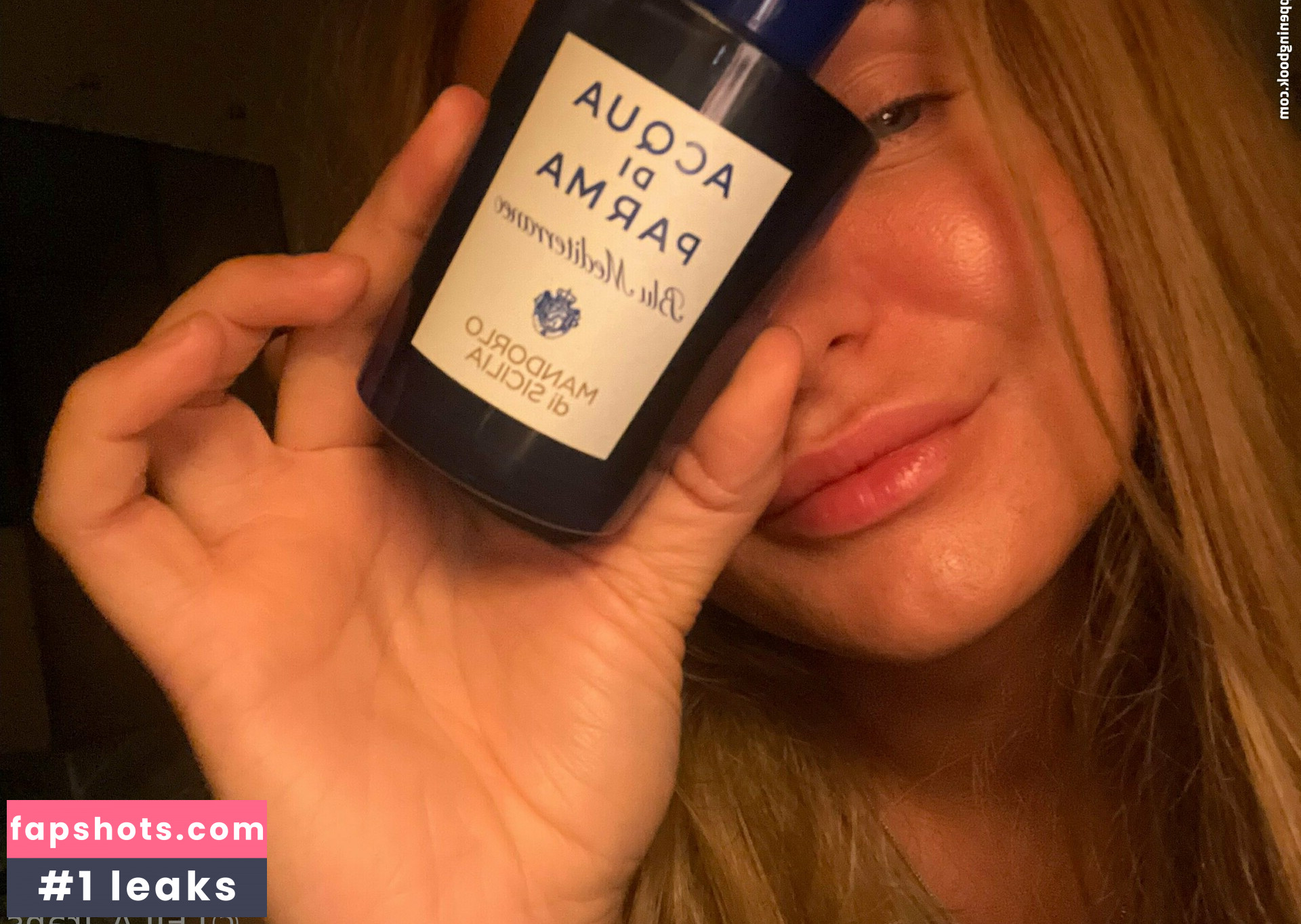 leilatrans gallery photo #6