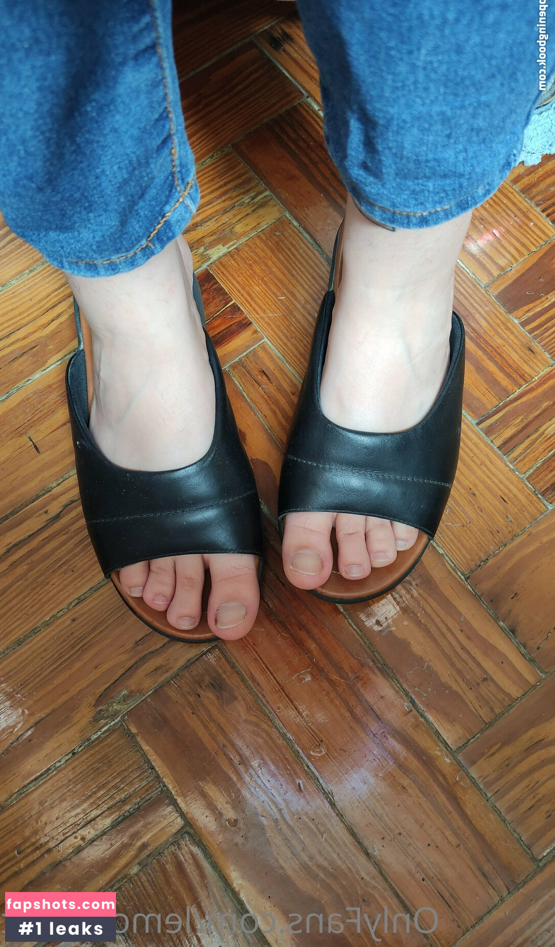 lemoonfeet gallery photo #40