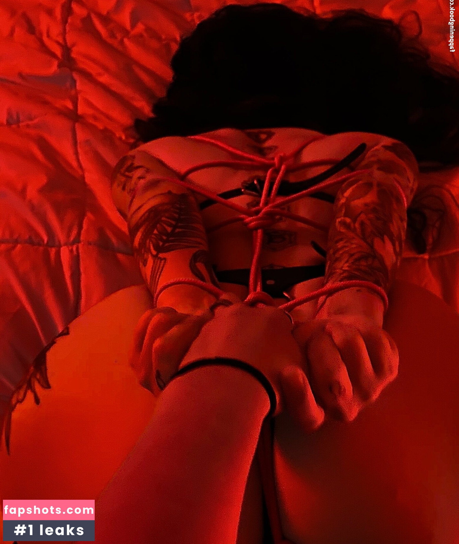 _Leovenus gallery photo #15