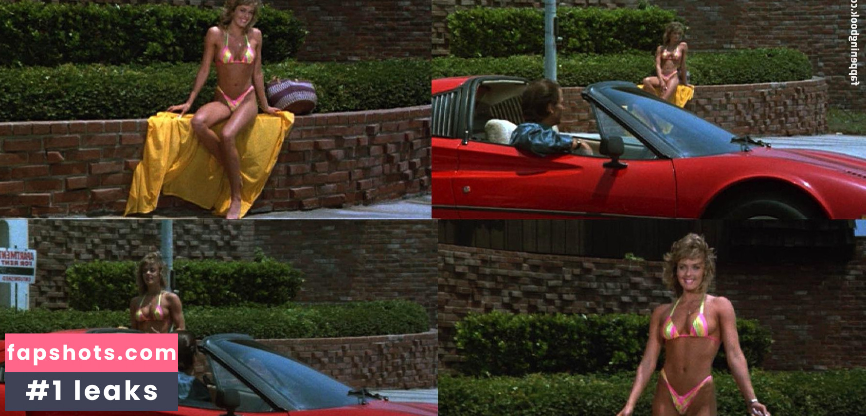 Leslee Bremmer gallery photo #18