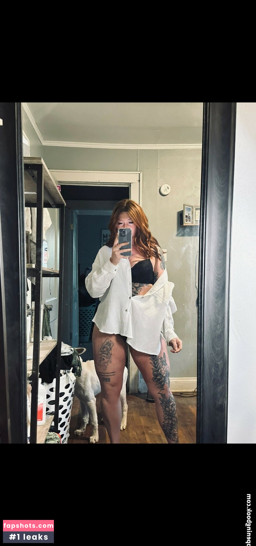 Lexafrex gallery photo #34