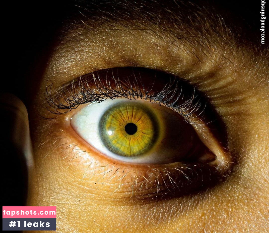 Lexcova gallery photo #8