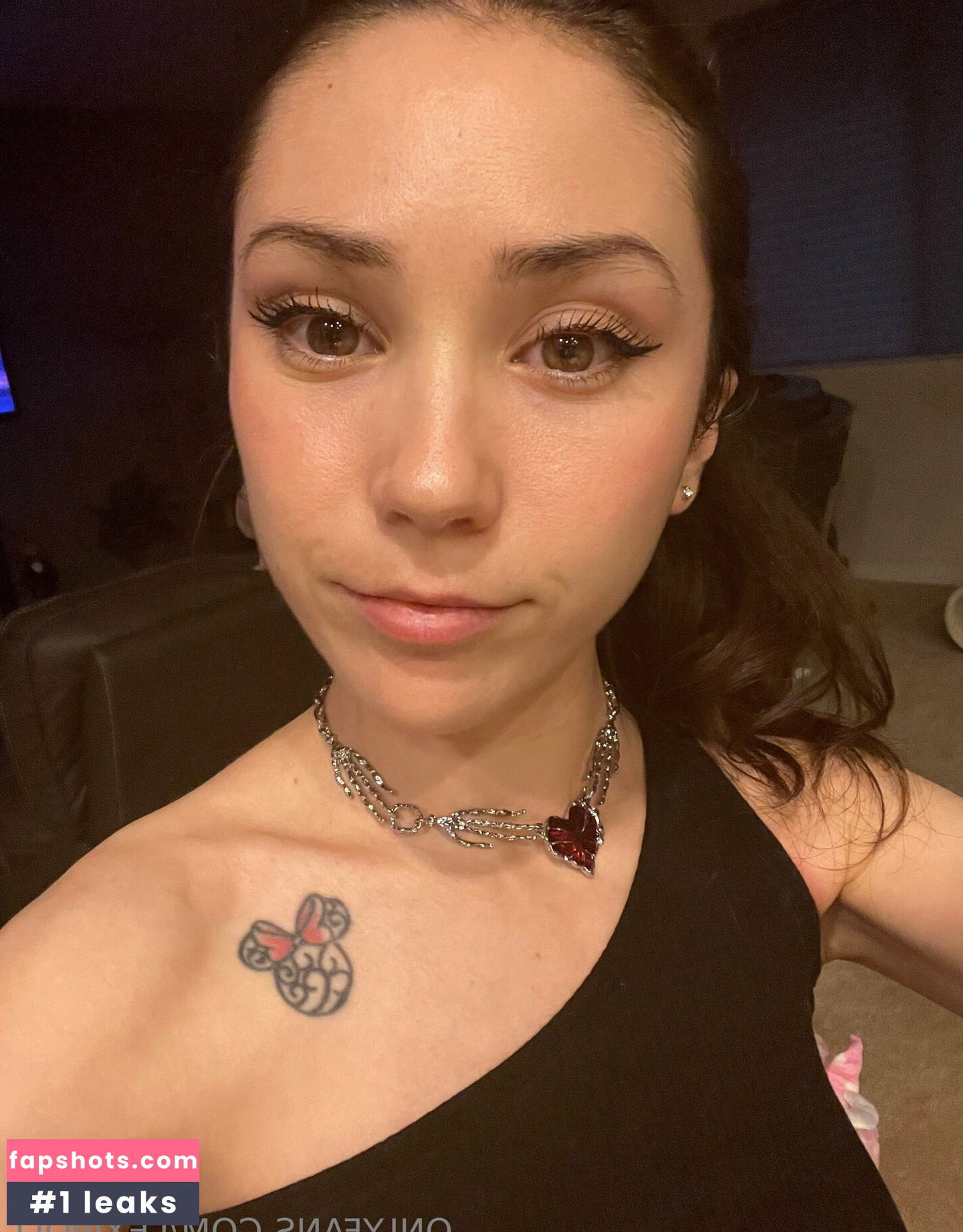 Lexipoll gallery photo #16