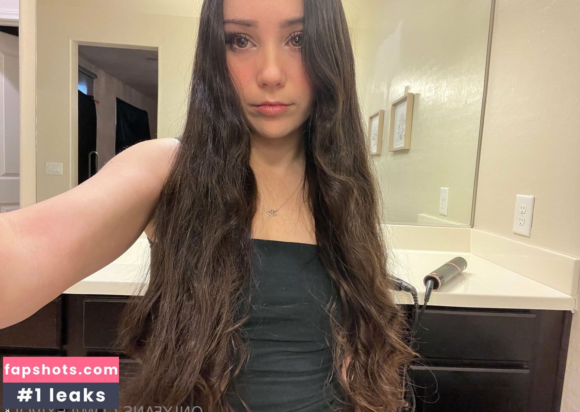 Lexipoll gallery photo #19