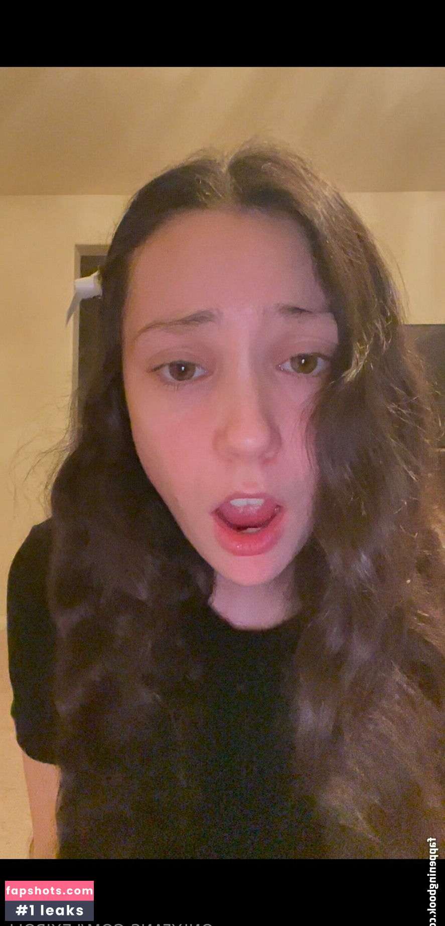 Lexipoll gallery photo #22