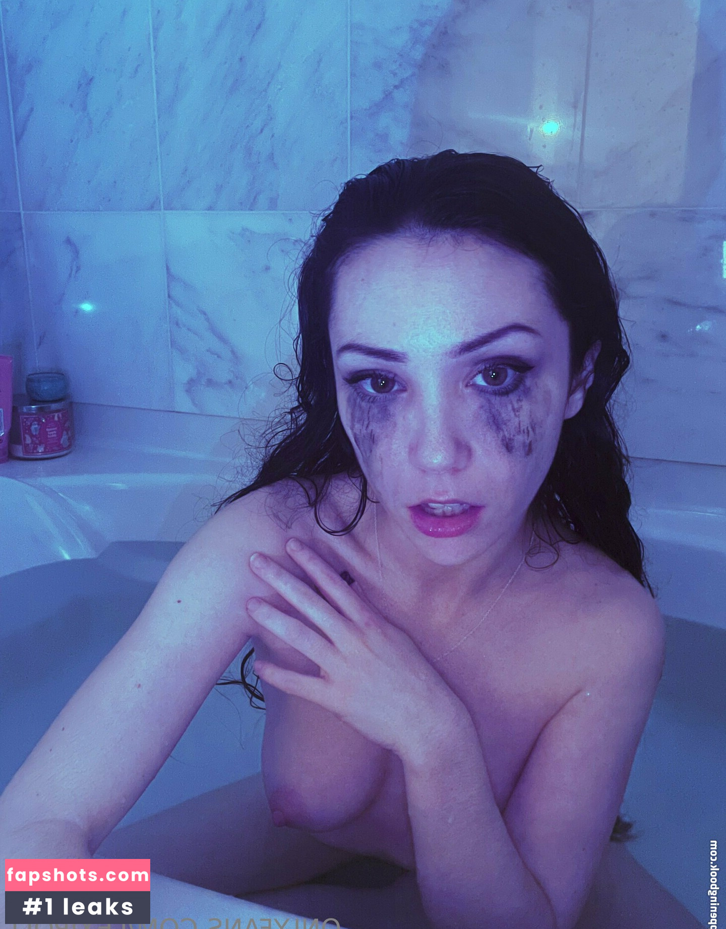 Lexipoll gallery photo #25