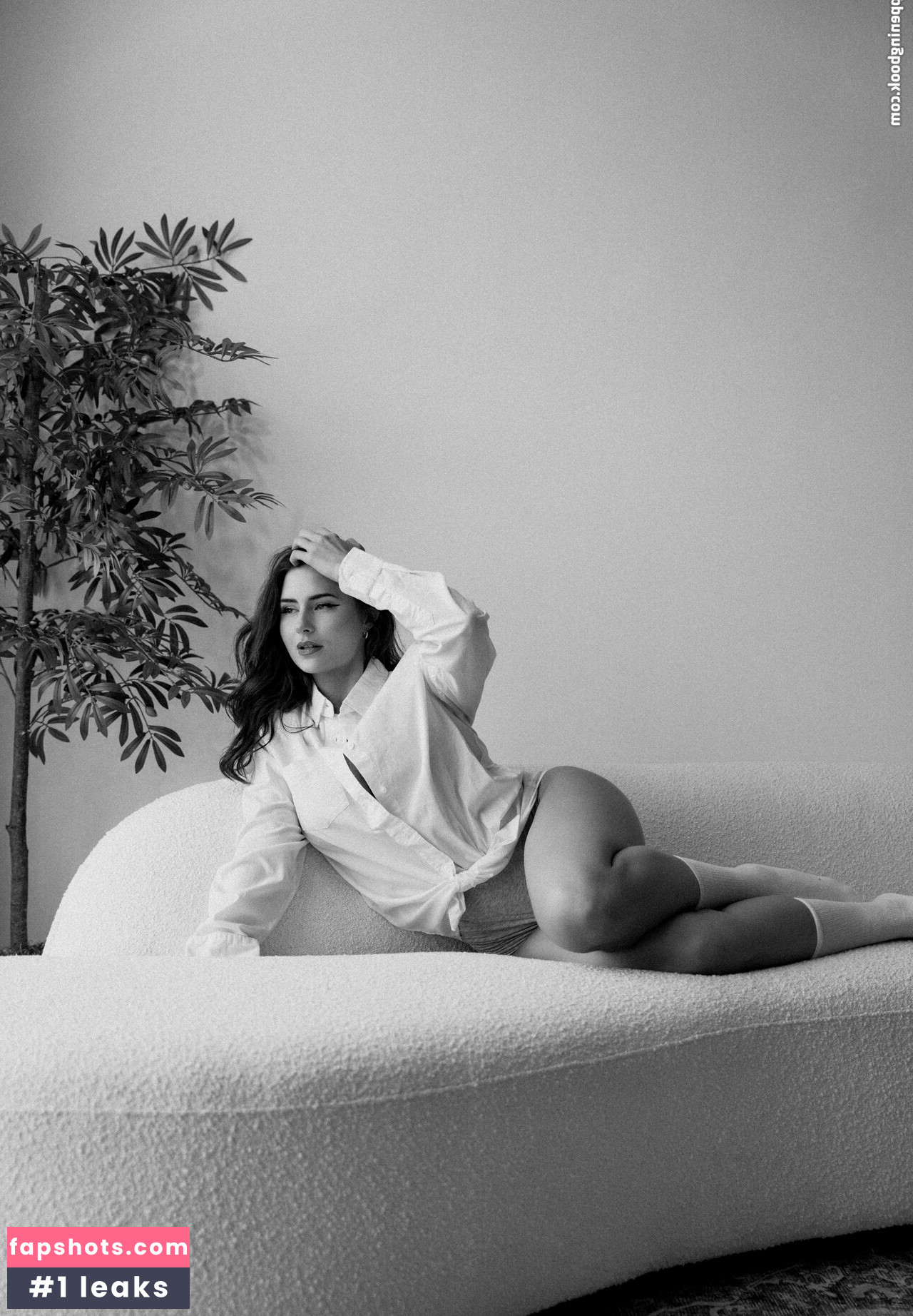 Lexwipp gallery photo #26