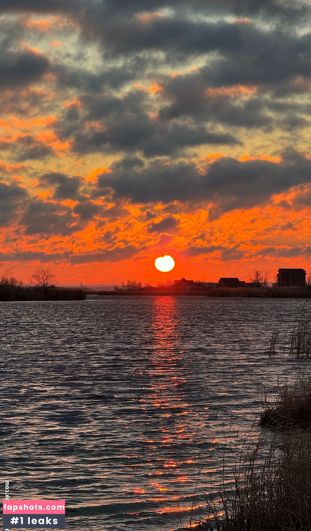 lia_verse gallery photo #8