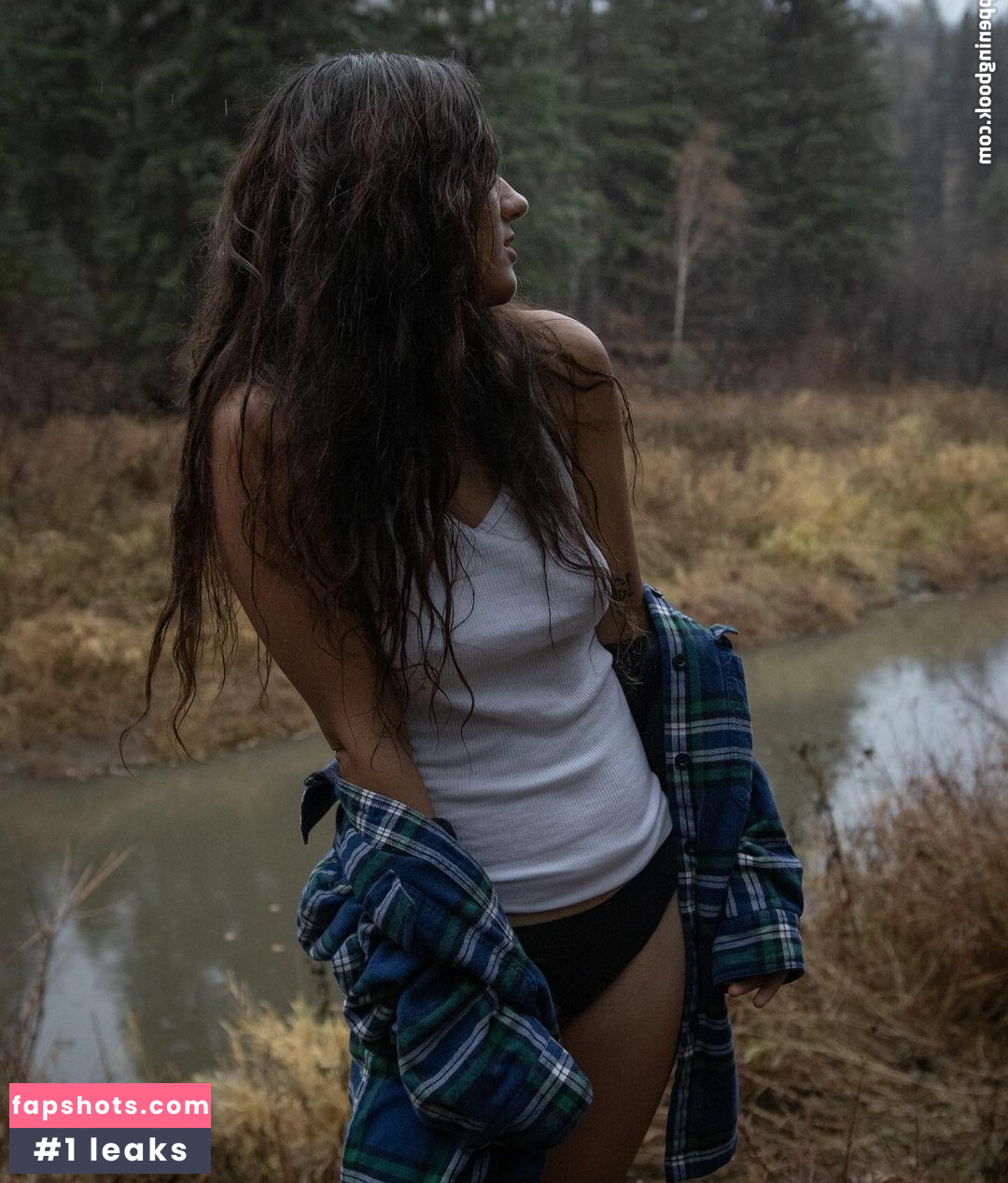 Liashines Nahé úniky fotek pouze od fanoušků #13 - Fapshots