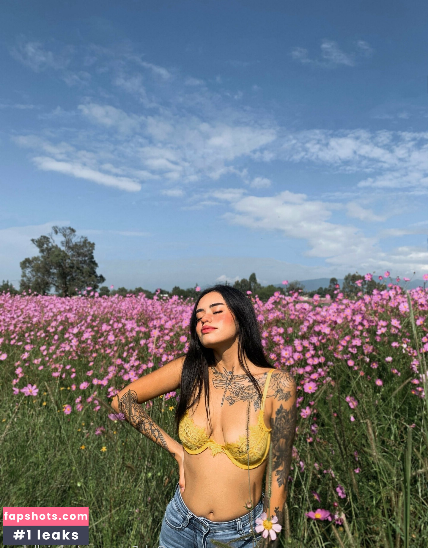 libeluna gallery photo #18