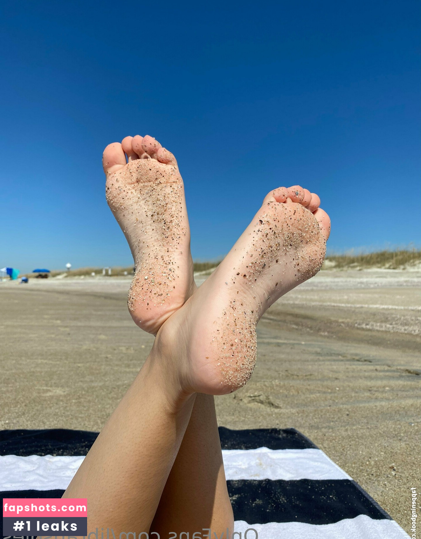 libransoles gallery photo #3