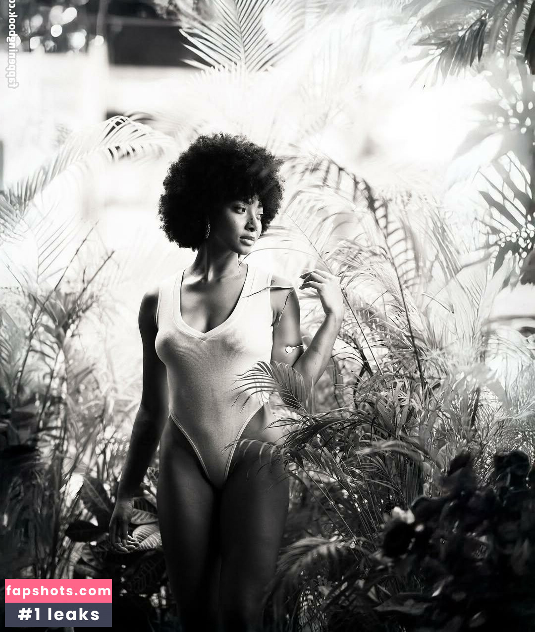 lightskin gallery photo #19