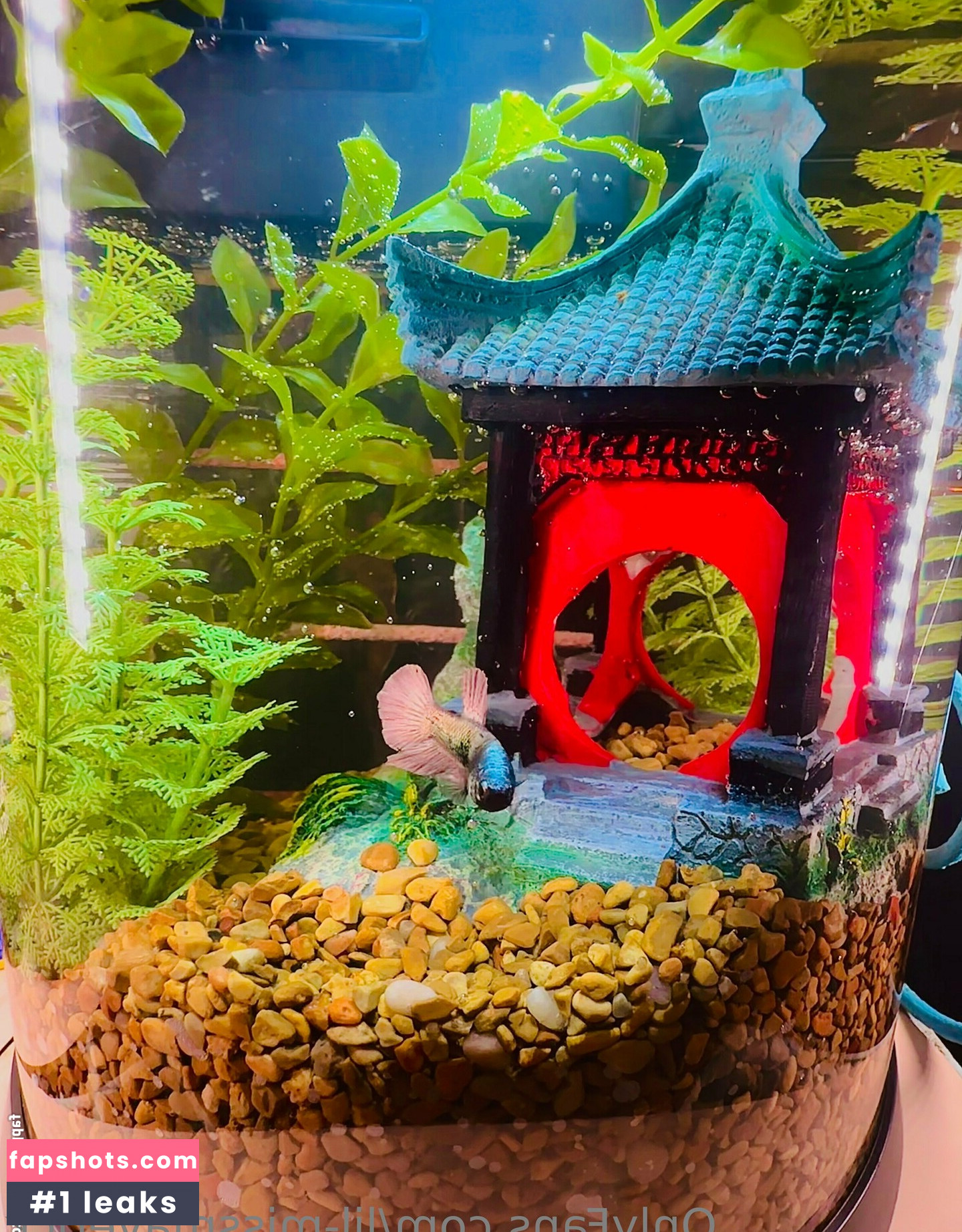 lil-missmaverick Filtración Desnuda OnlyFans Foto #41 - Fapshots