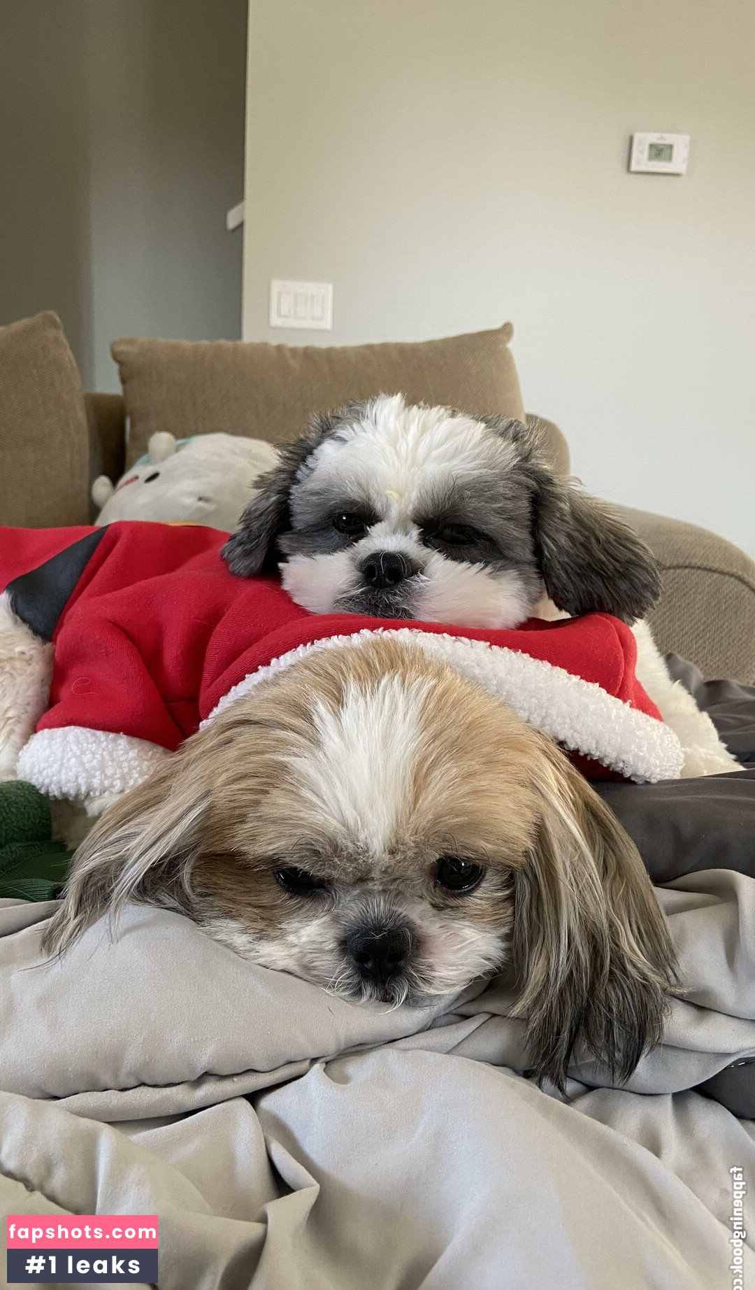 Lil6uapoo Filtración Desnuda OnlyFans Foto #37 - Fapshots