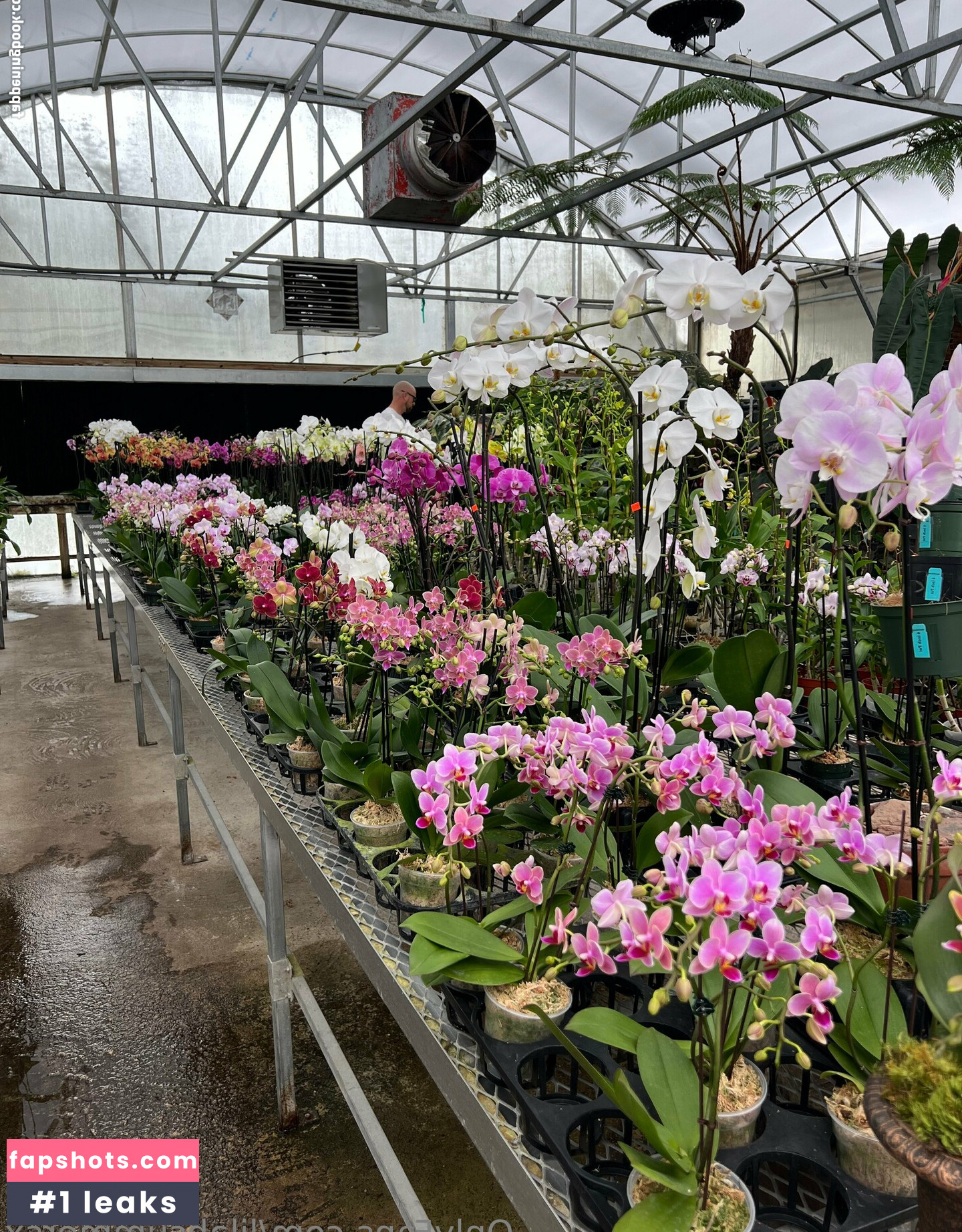 lilahsummersx gallery photo #2