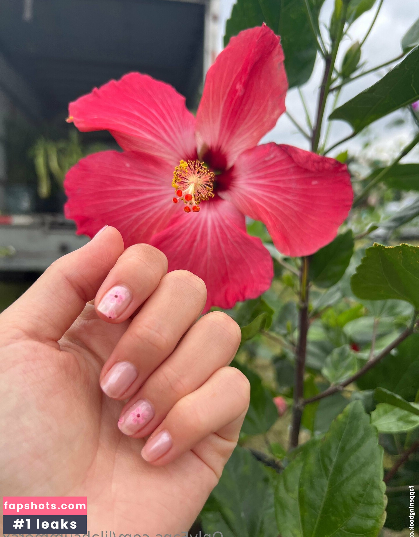 lilahsummersx gallery photo #21