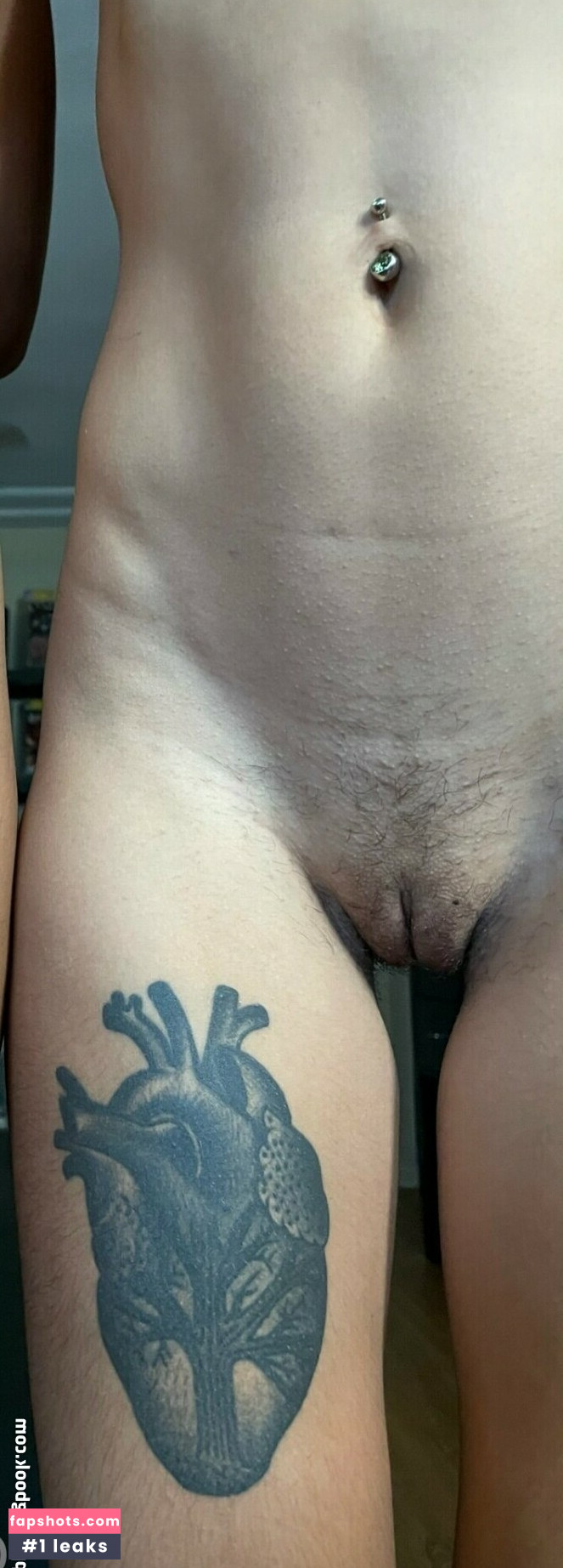 Lileffietv gallery photo #19