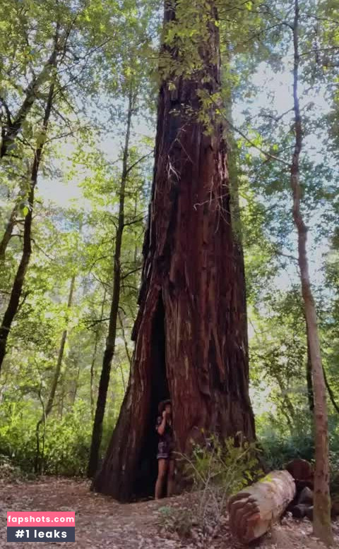 liljenners gallery photo #9