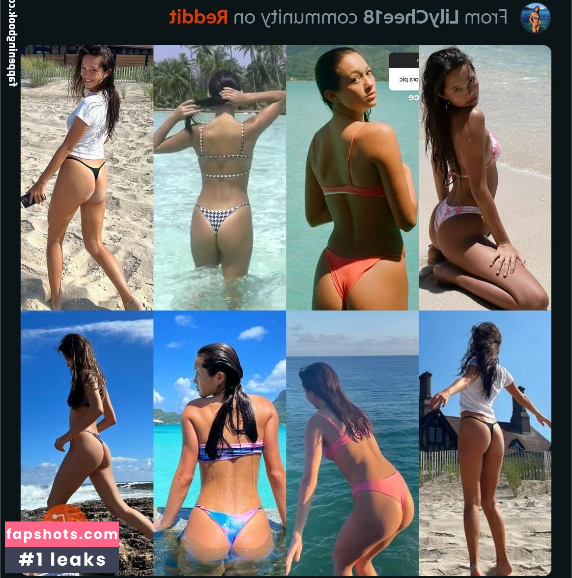 Lily Chee gallery photo #110