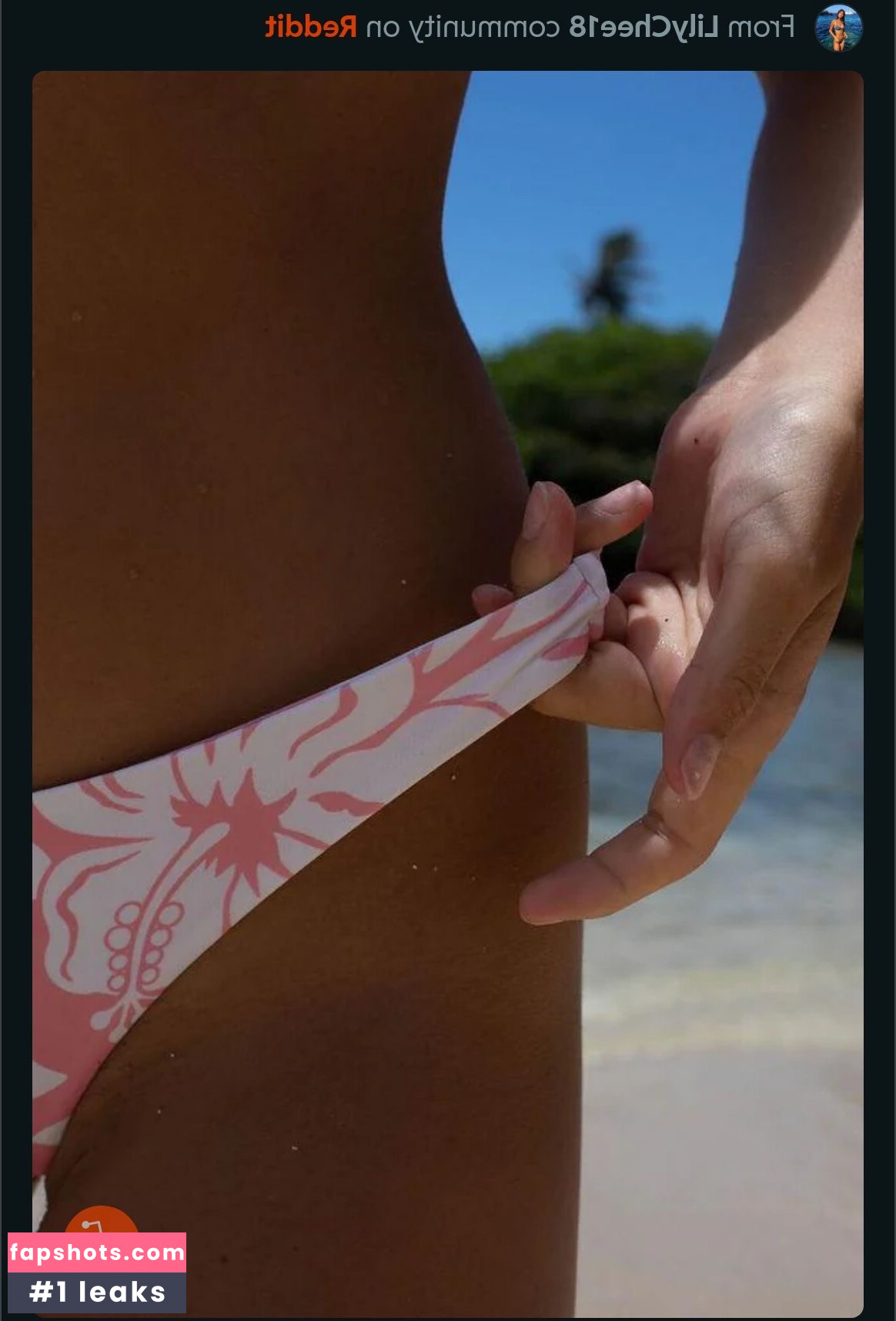 Lily Chee gallery photo #113