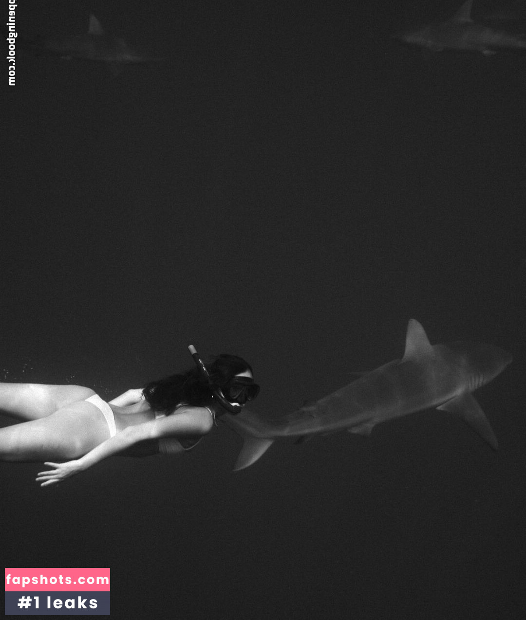 Lily Chee gallery photo #73