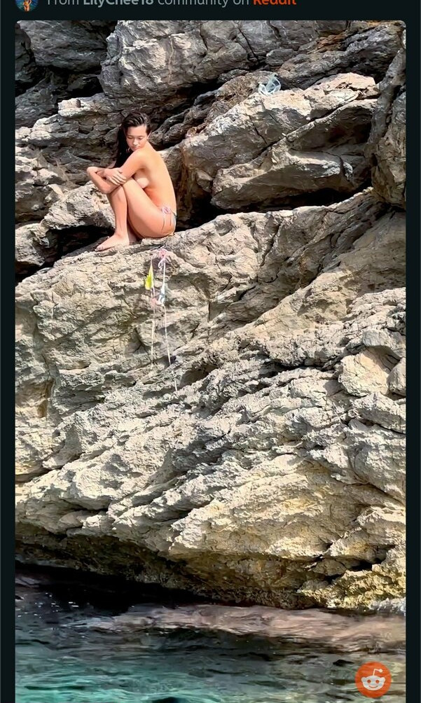 lily-chee Nude Leaks OnlyFans Photos #362 - LeakJerk