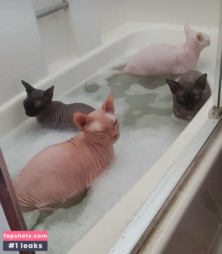 Lily Winters gallery photo #4