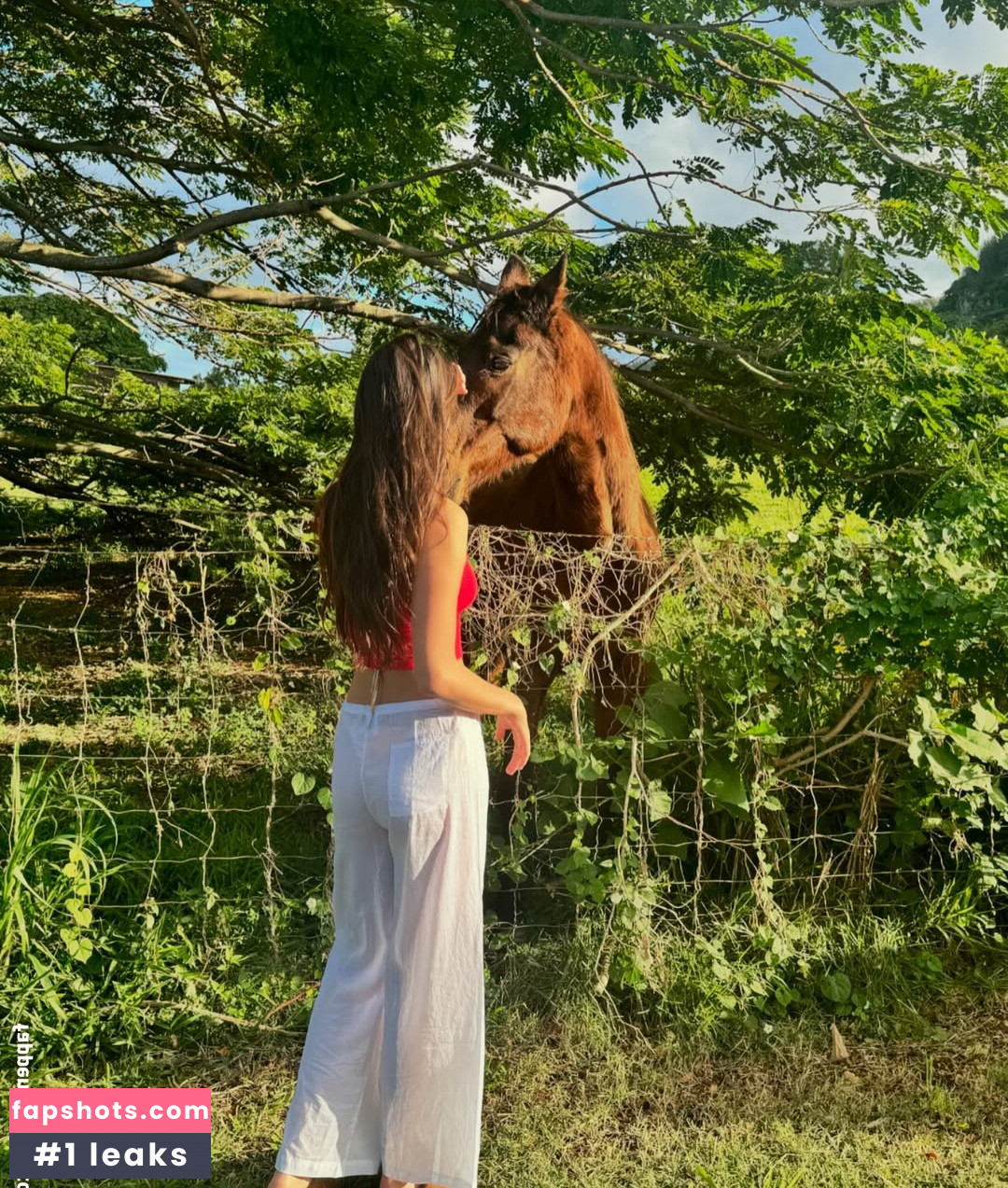 Lilychee gallery photo #101