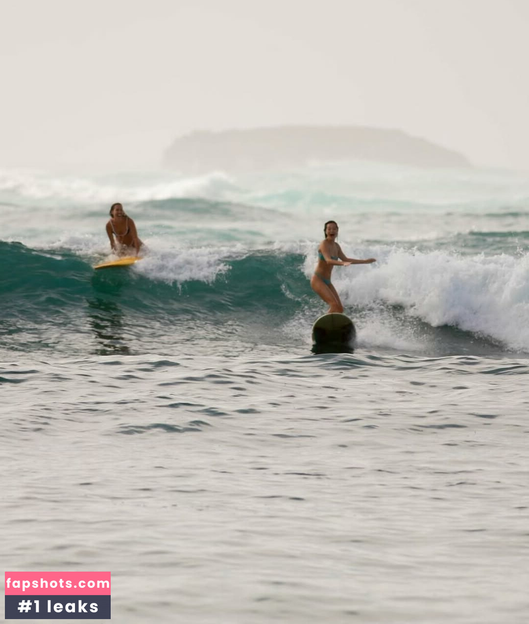 Lilychee gallery photo #103