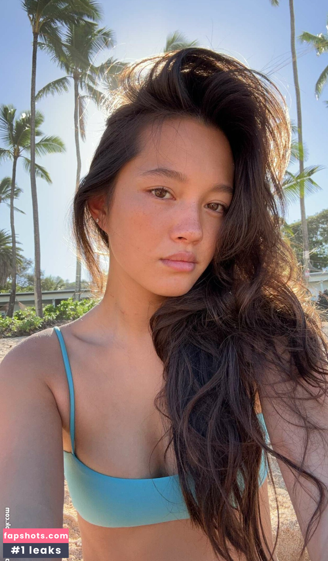 Lilychee gallery photo #169