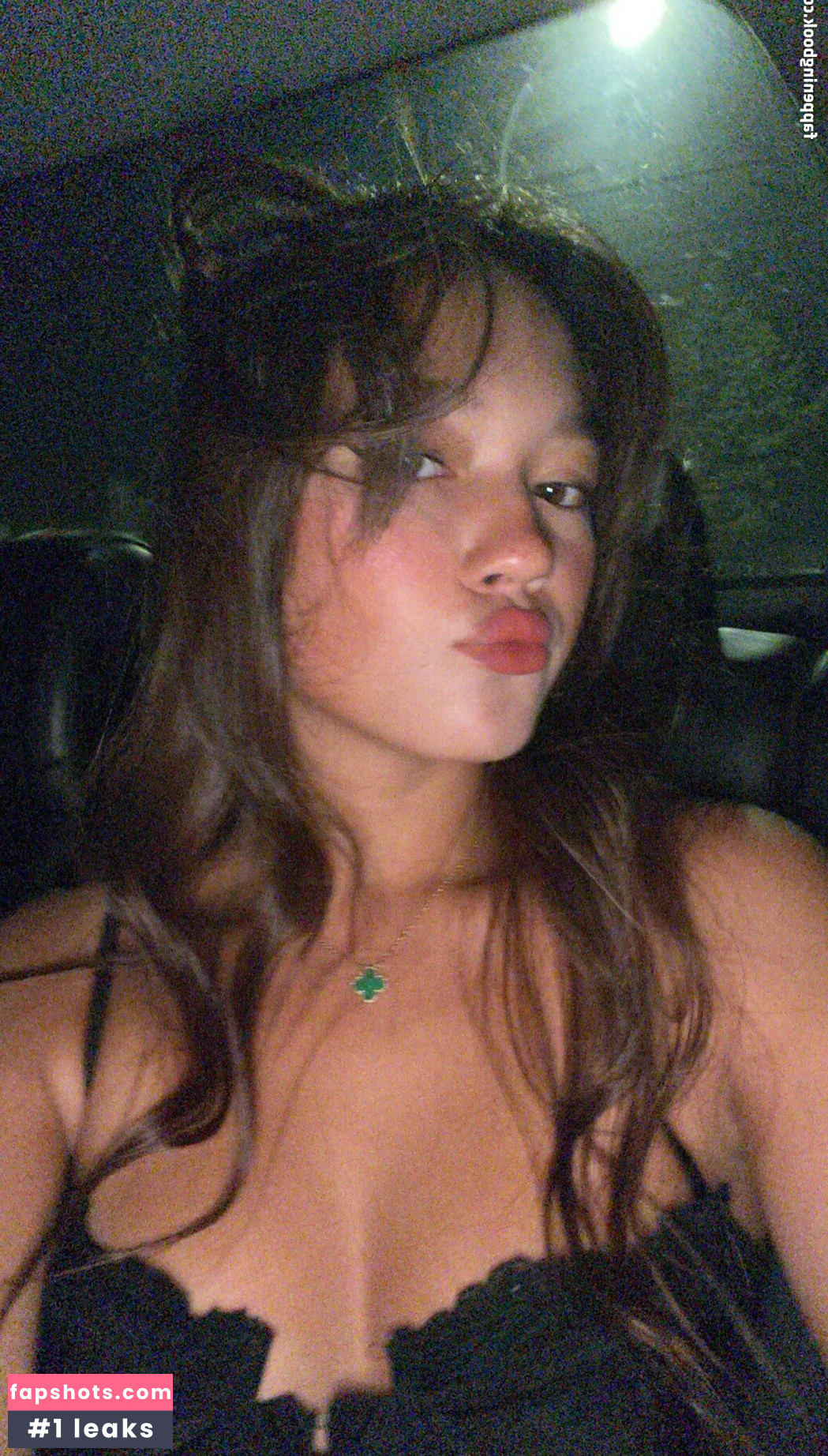 Lilychee gallery photo #201