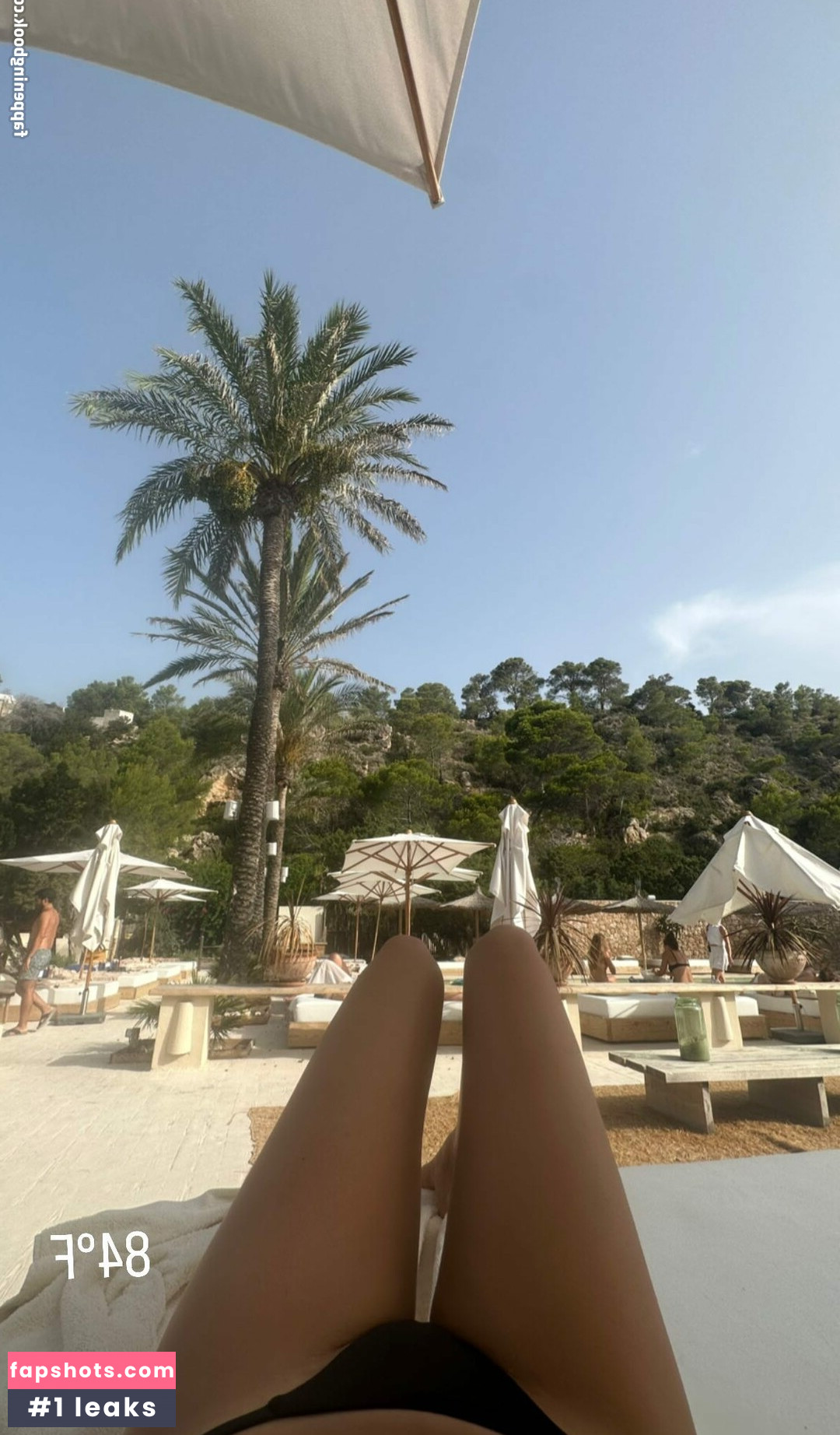 Lilychee gallery photo #204