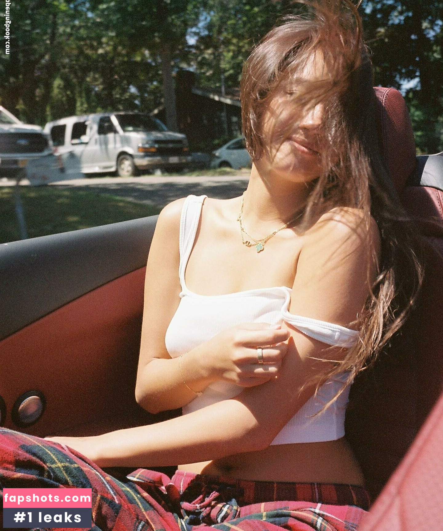 Lilychee gallery photo #207