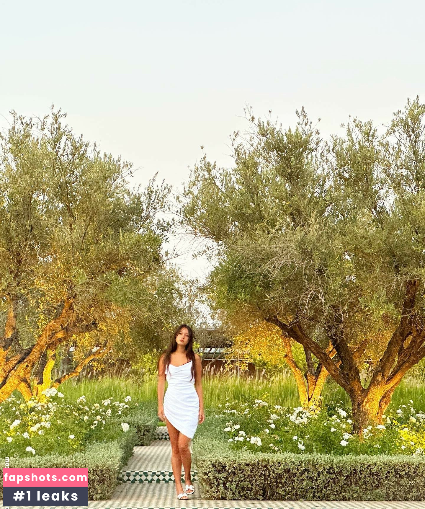 Lilychee gallery photo #221