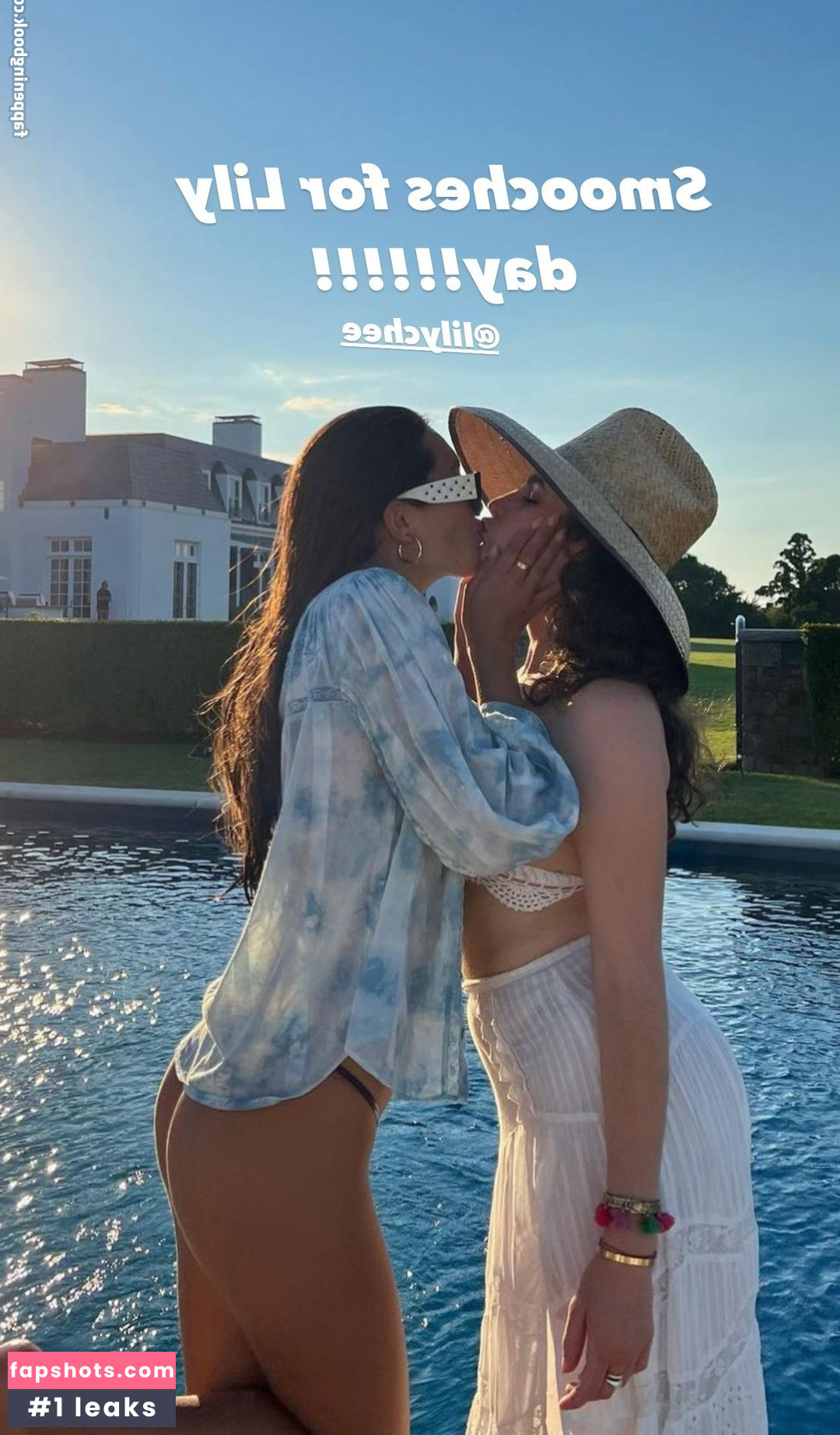 Lilychee gallery photo #252