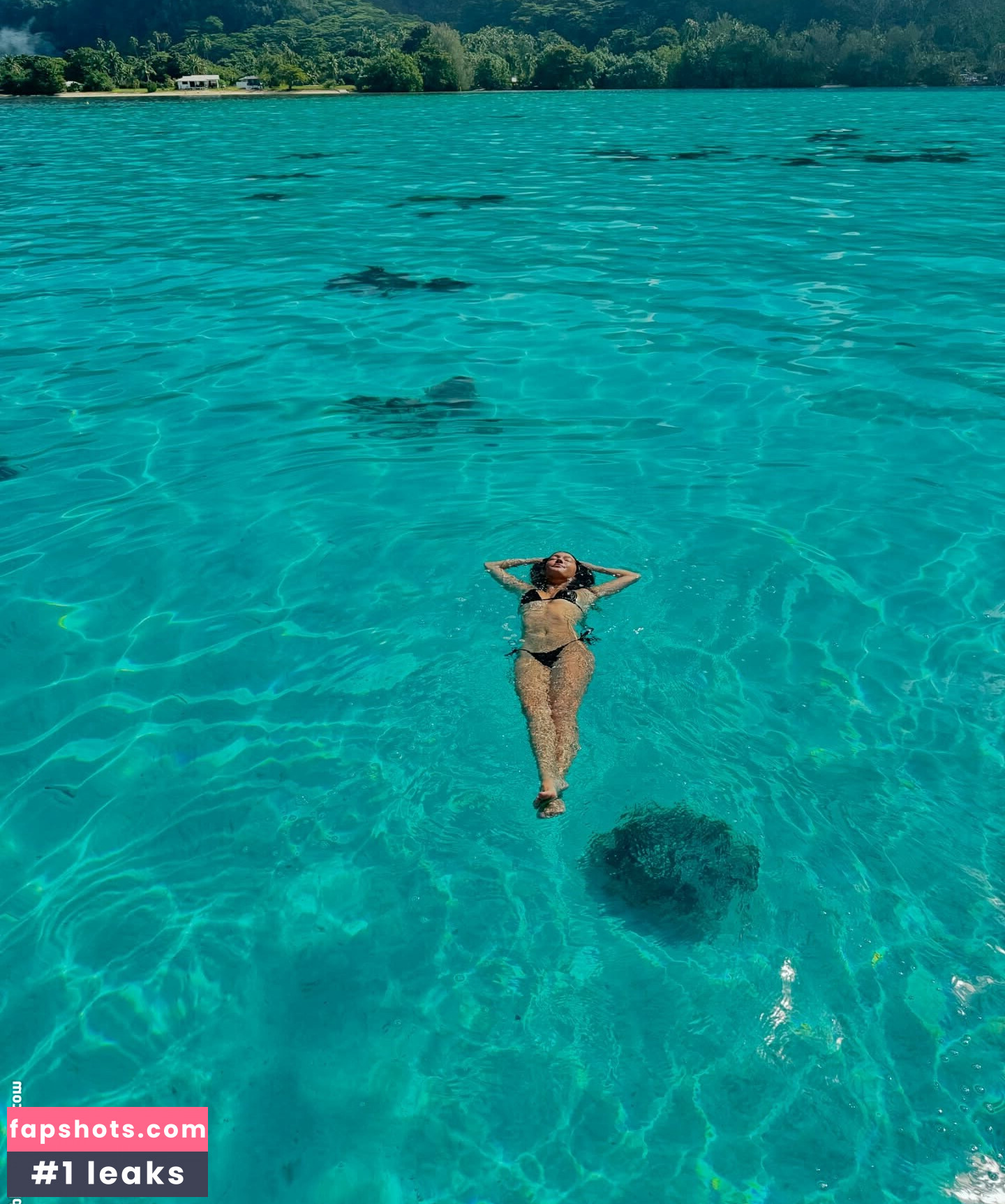 Lilychee gallery photo #46