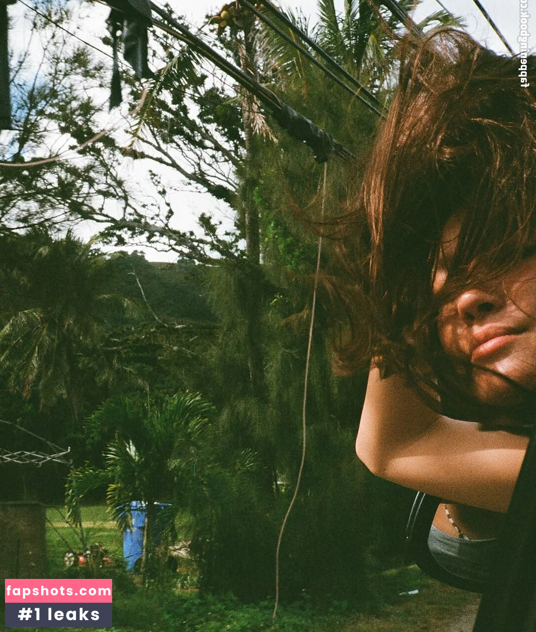 Lilychee gallery photo #60