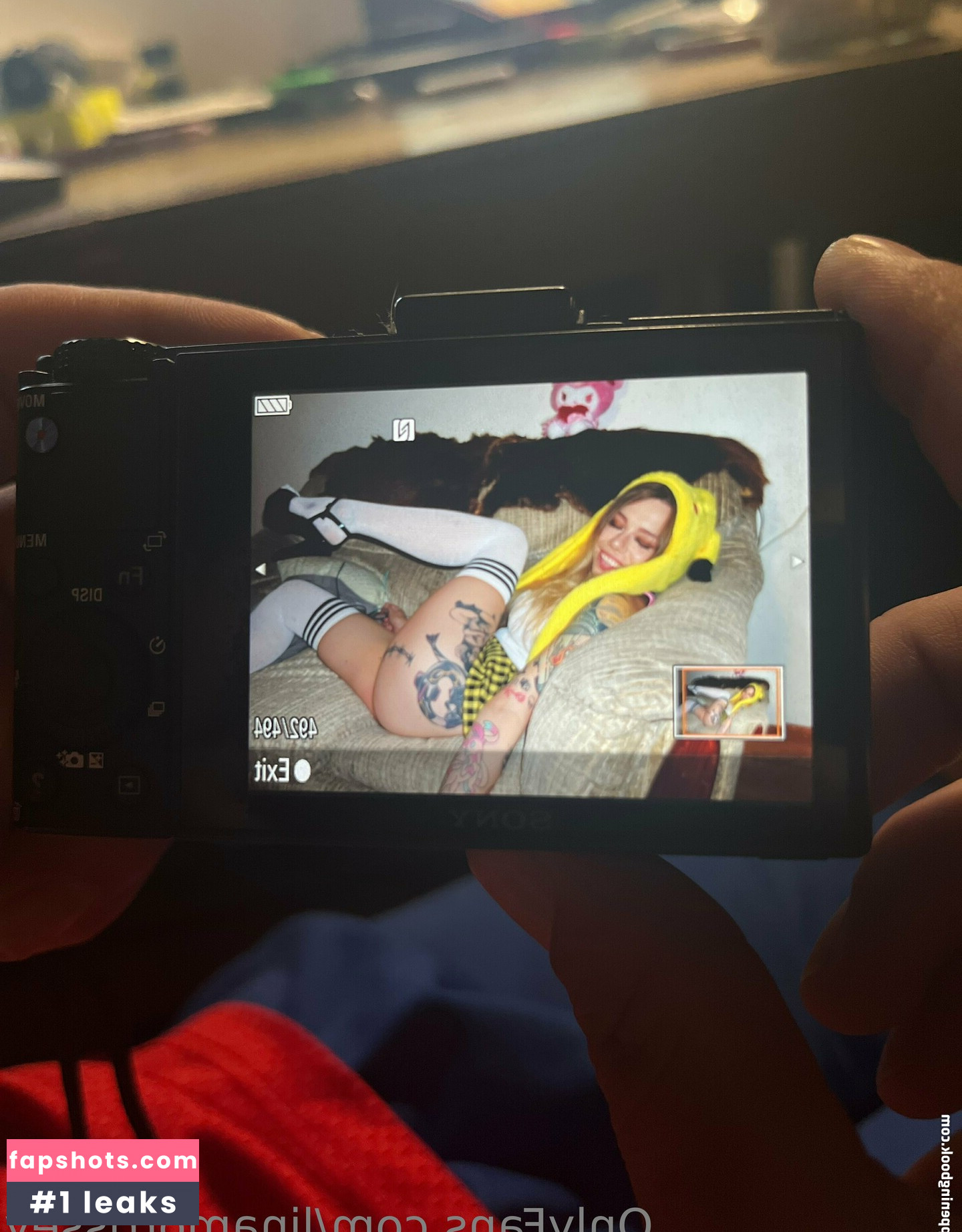 linamorrissey gallery photo #4