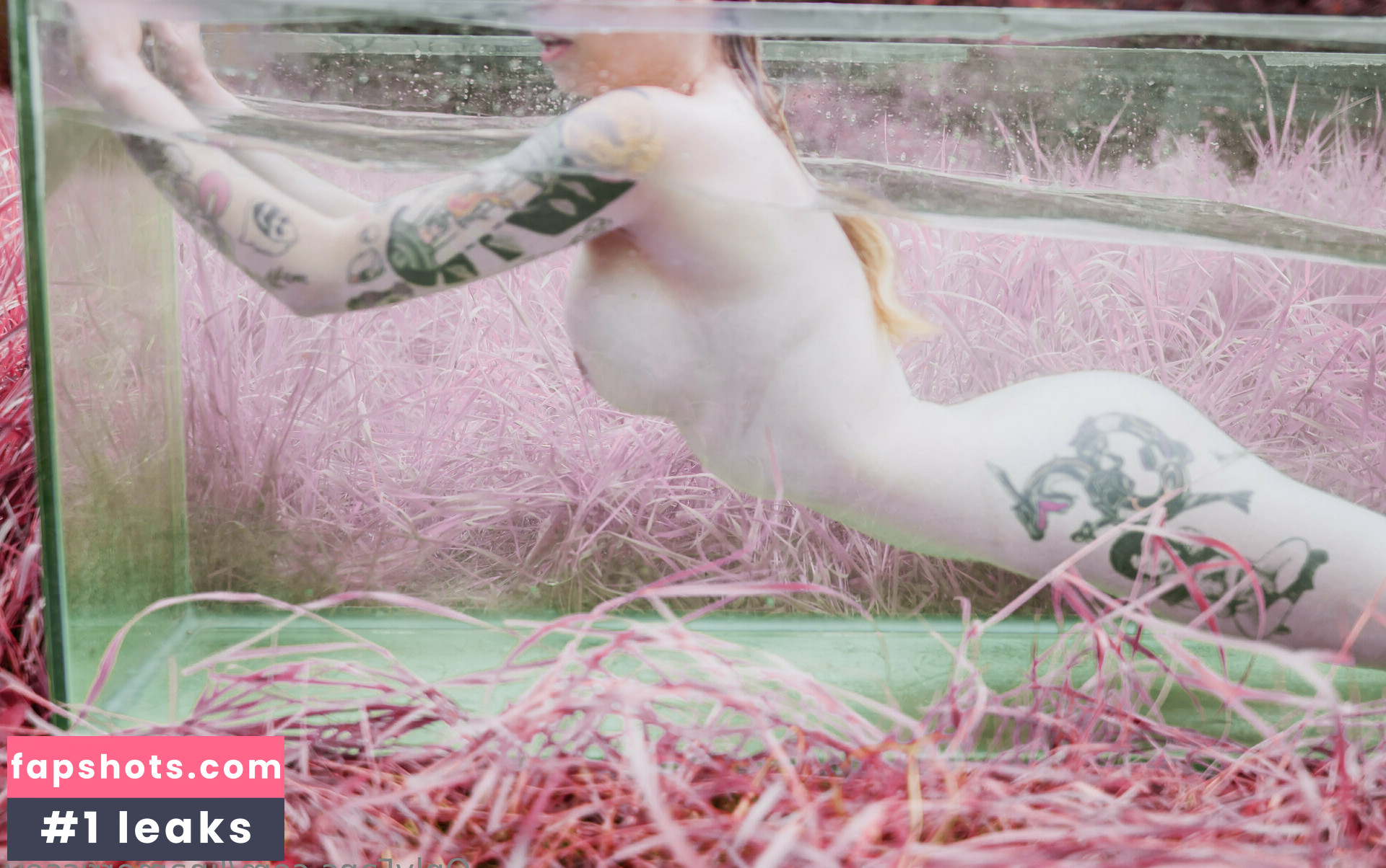 linamorrissey gallery photo #8