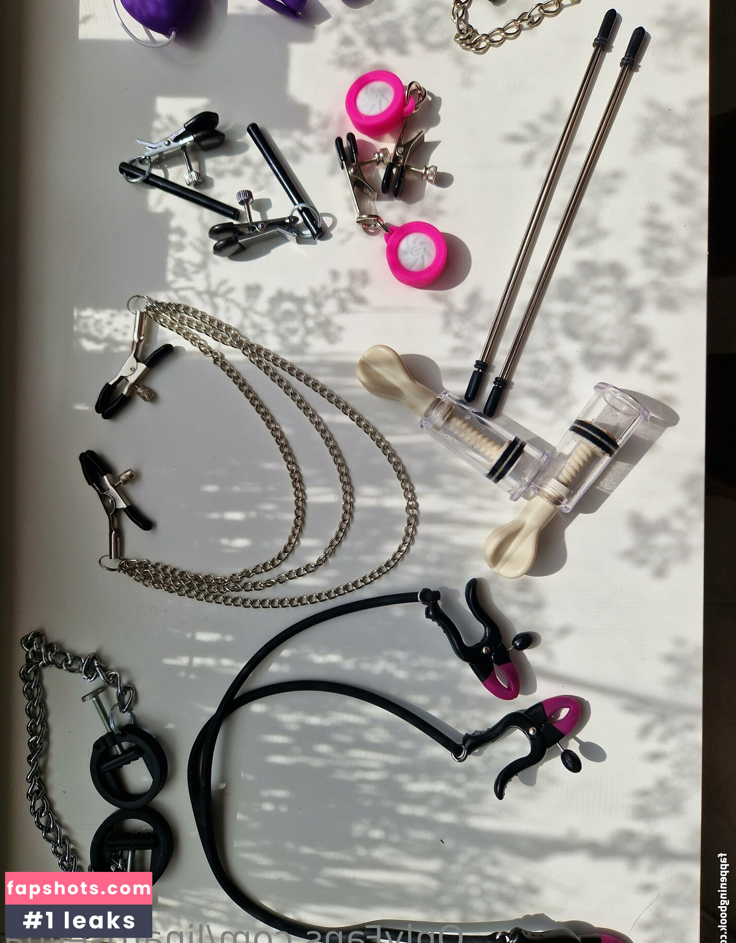 linaroselina gallery photo #13