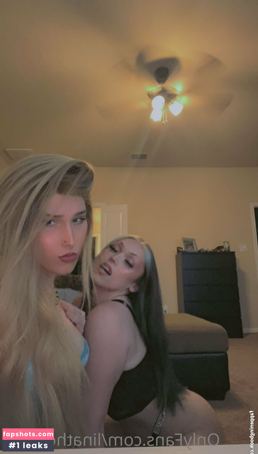 linatheelibra gallery photo #26