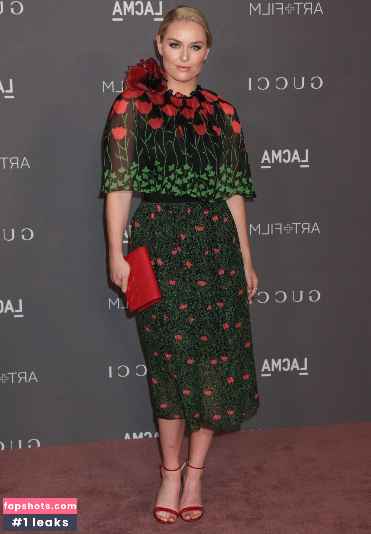 Lindsey Vonn gallery photo #157