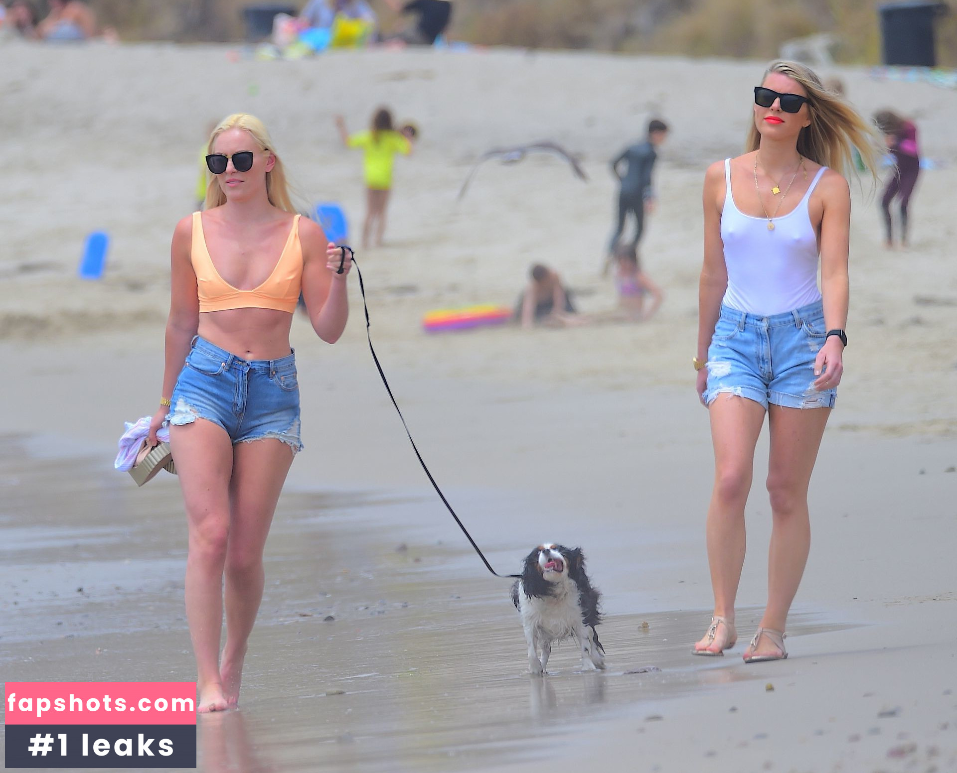 Lindsey Vonn gallery photo #256