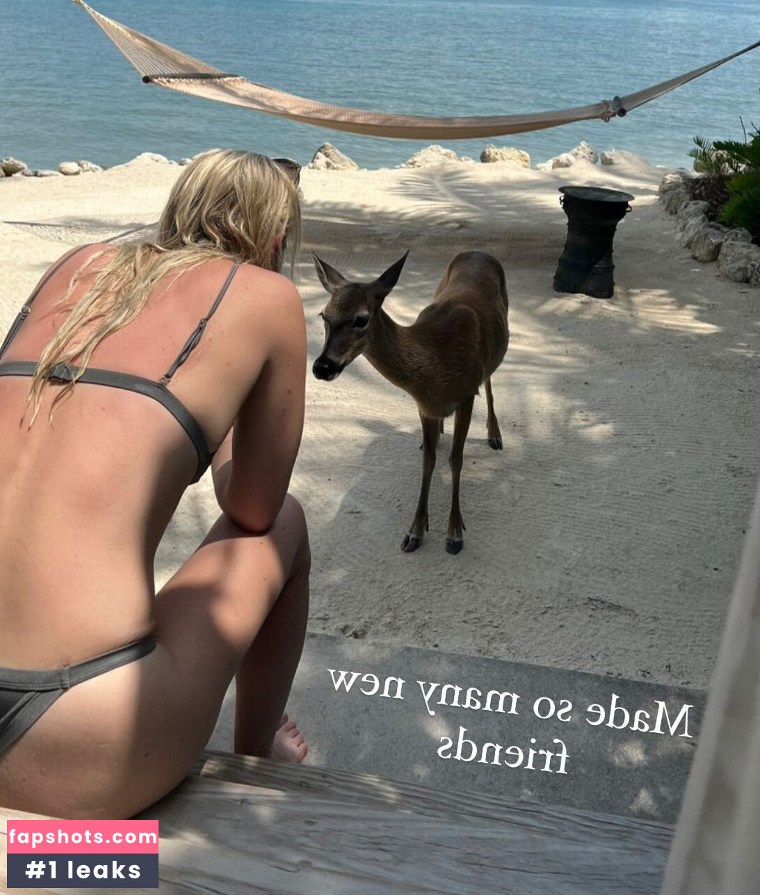 Lindsey Vonn gallery photo #64