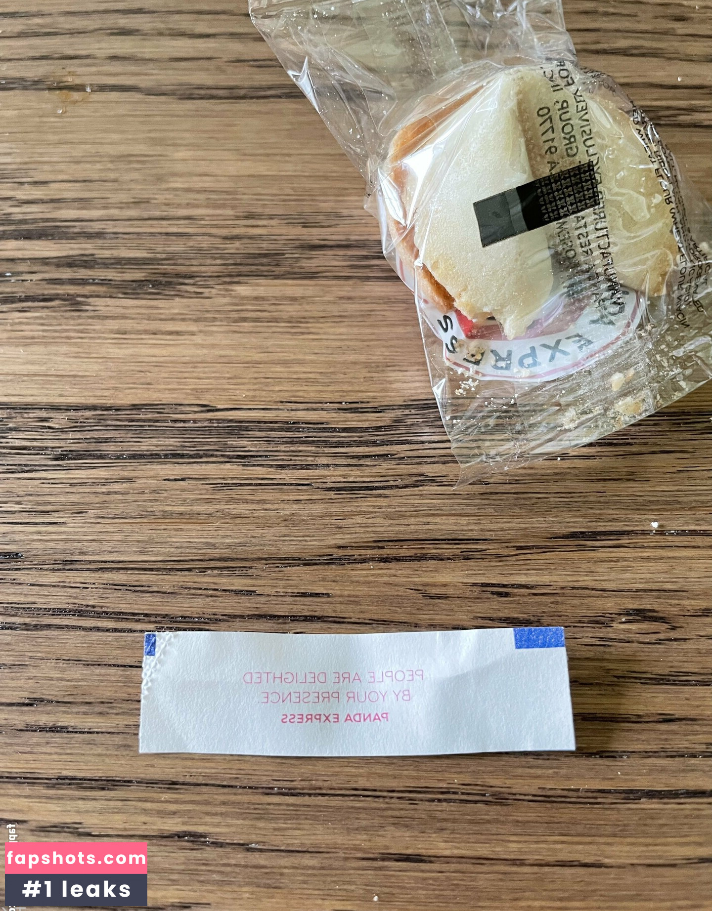 lioness.in.the.sun gallery photo #20