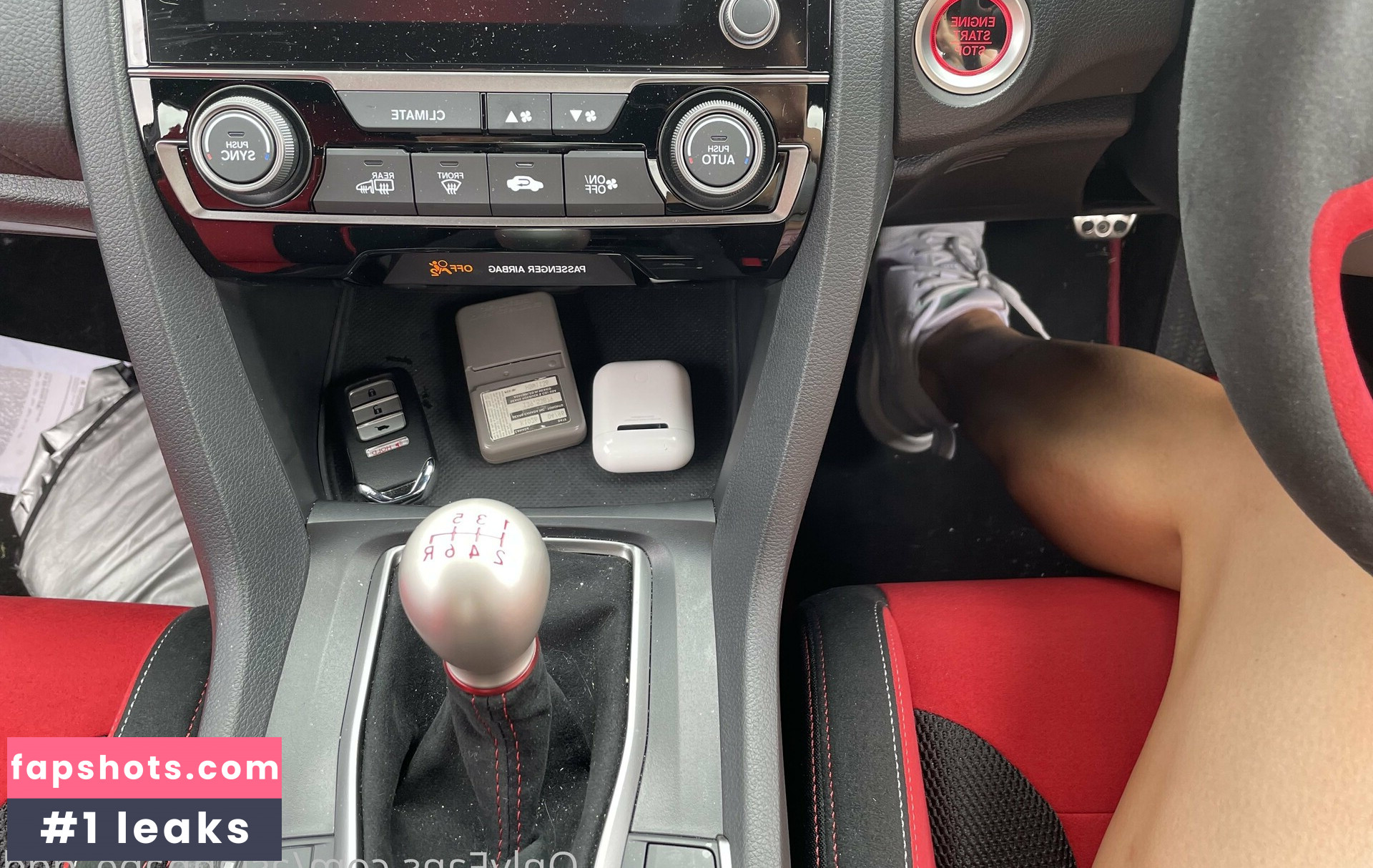 lioness.in.the.sun gallery photo #26