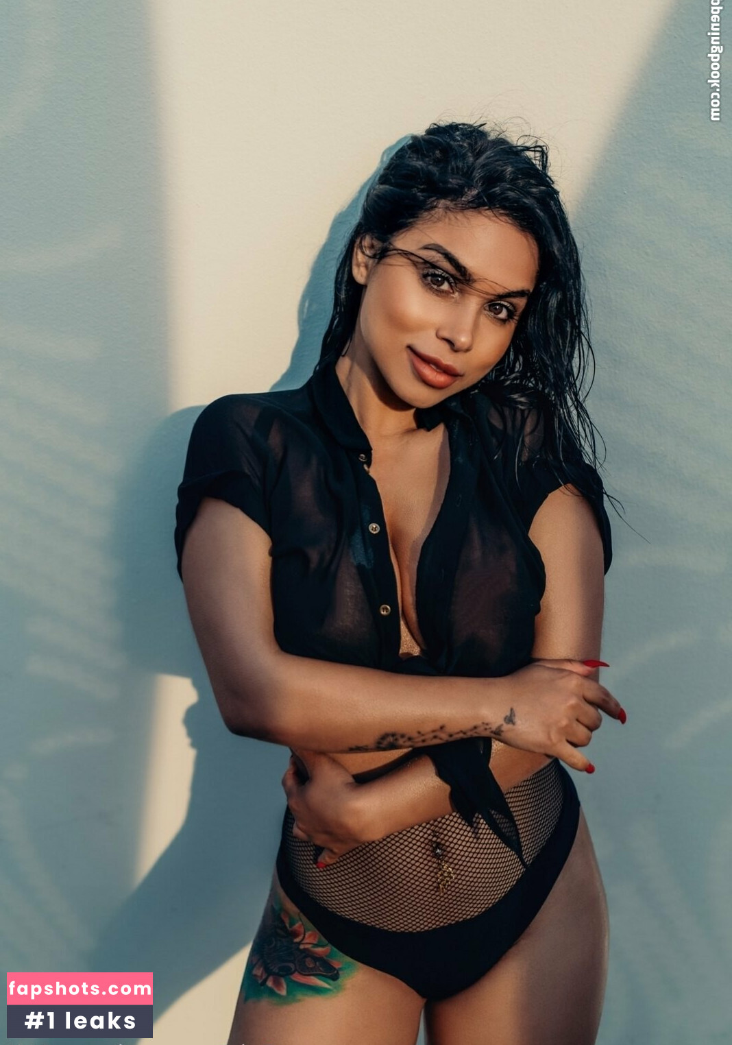 lioness6446 gallery photo #25